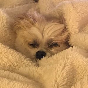 Meet your Posher, Irene